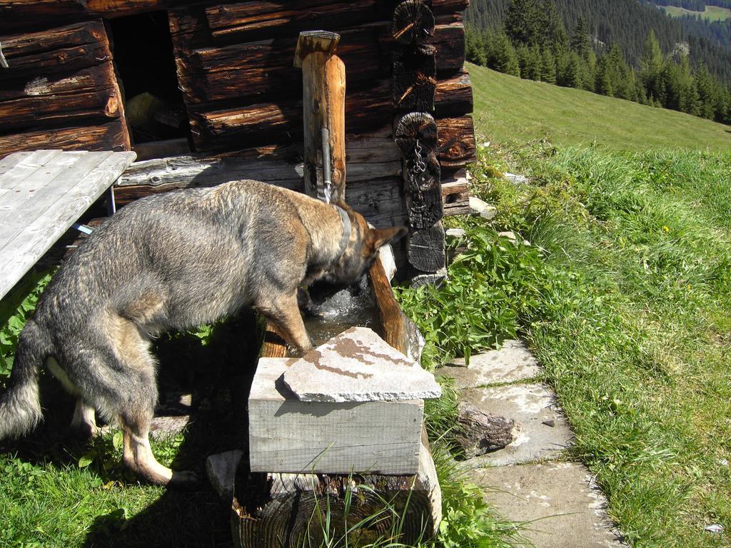 Ferienwohnung Garber Uderns Buitenkant foto